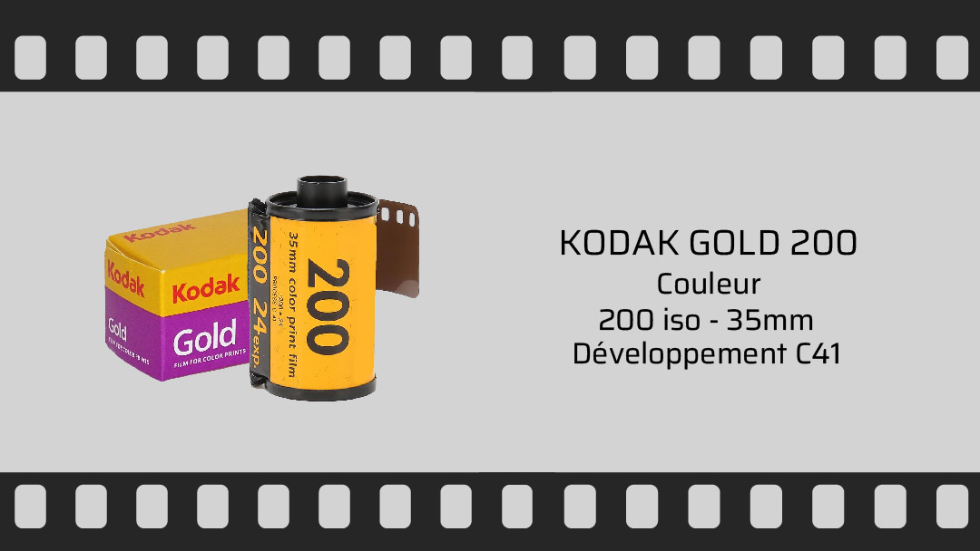 KODAK GOLD 200_paysage